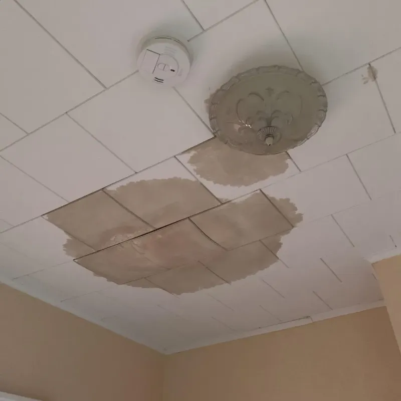 Ceiling Water Damage Repair in Huntersville, NC