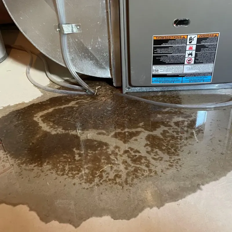 Pipe Burst and Leak Restoration in Huntersville, NC