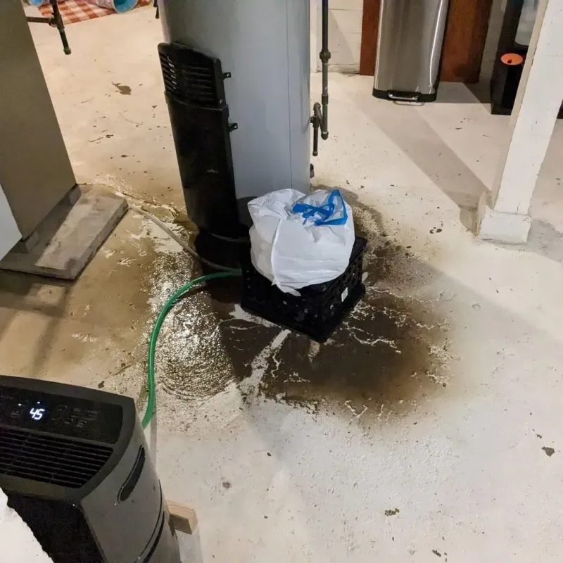 Sewage Backup Cleanup Service in Huntersville, NC